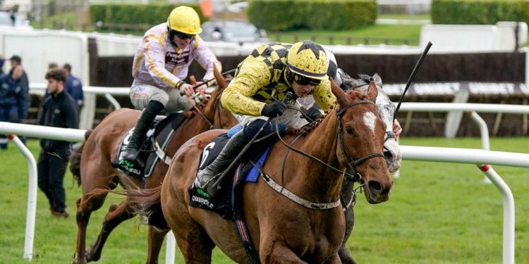 Horse racing tips: Four to follow at the Punchestown Festival and Newmarket on Friday